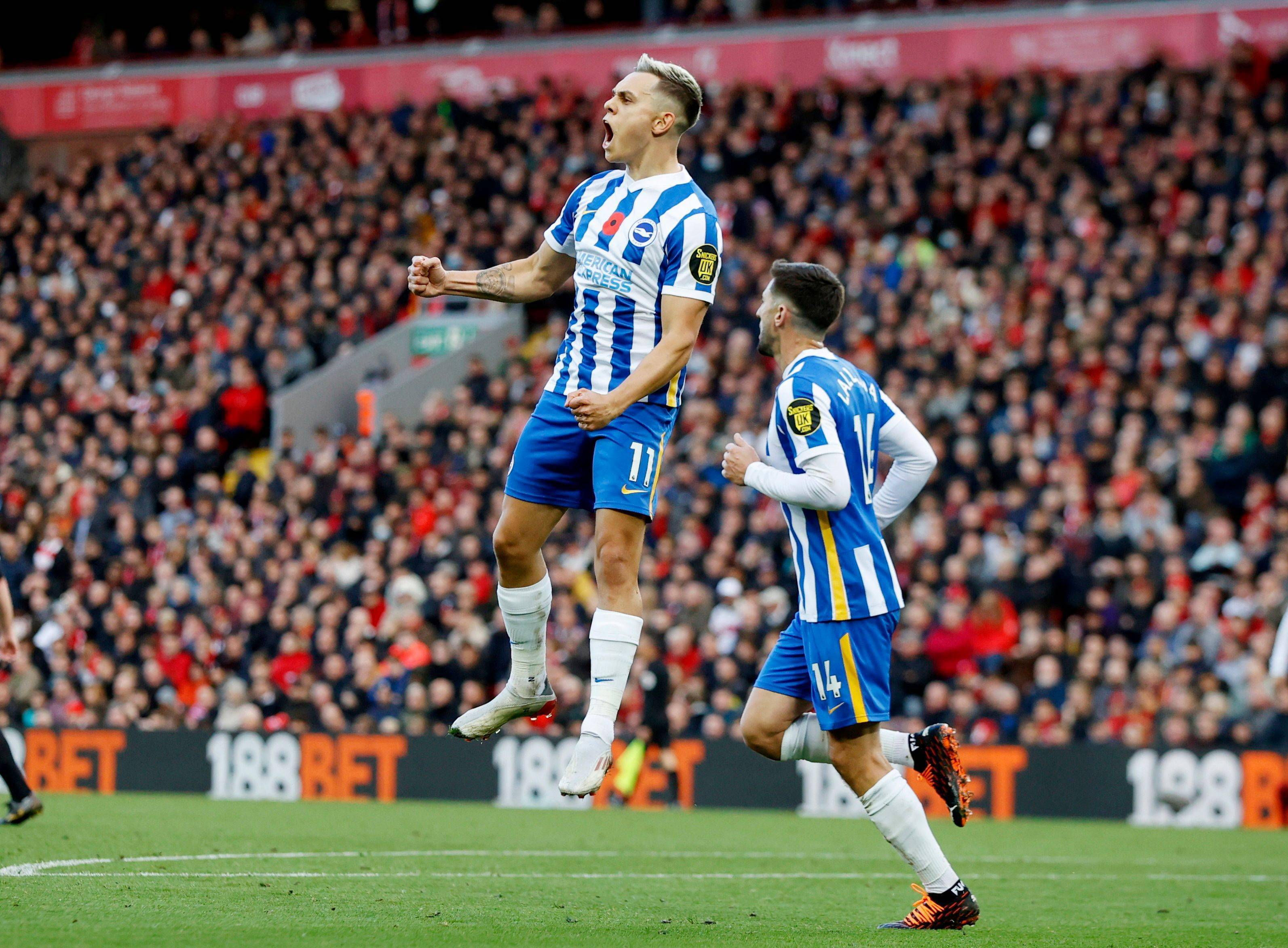 轻优势不断 轻优势不断